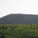 IMG_6376