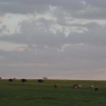 IMG_6510