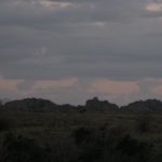IMG_6515